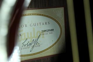 TAYLOR GUITARS 214CE DLX